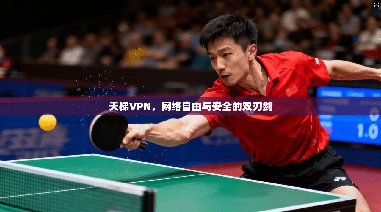 天梯VPN，网络自由与安全的双刃剑