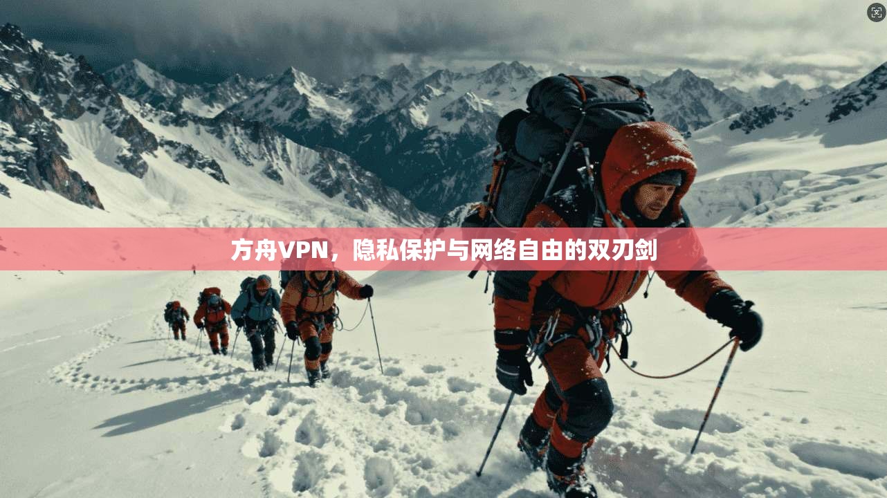 方舟VPN，隐私保护与网络自由的双刃剑