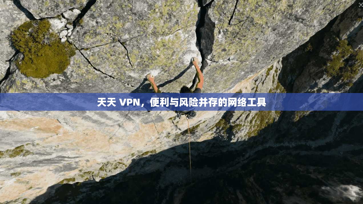 天天 VPN，便利与风险并存的网络工具