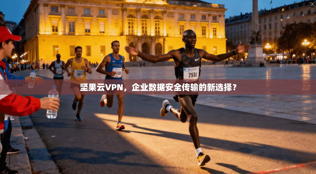 坚果云VPN，企业数据安全传输的新选择？