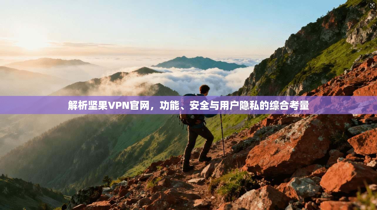 解析坚果VPN官网,功能、安全与用户隐私的综合考量 解析坚果VPN官网,功能、安全与用户隐私的综合考量