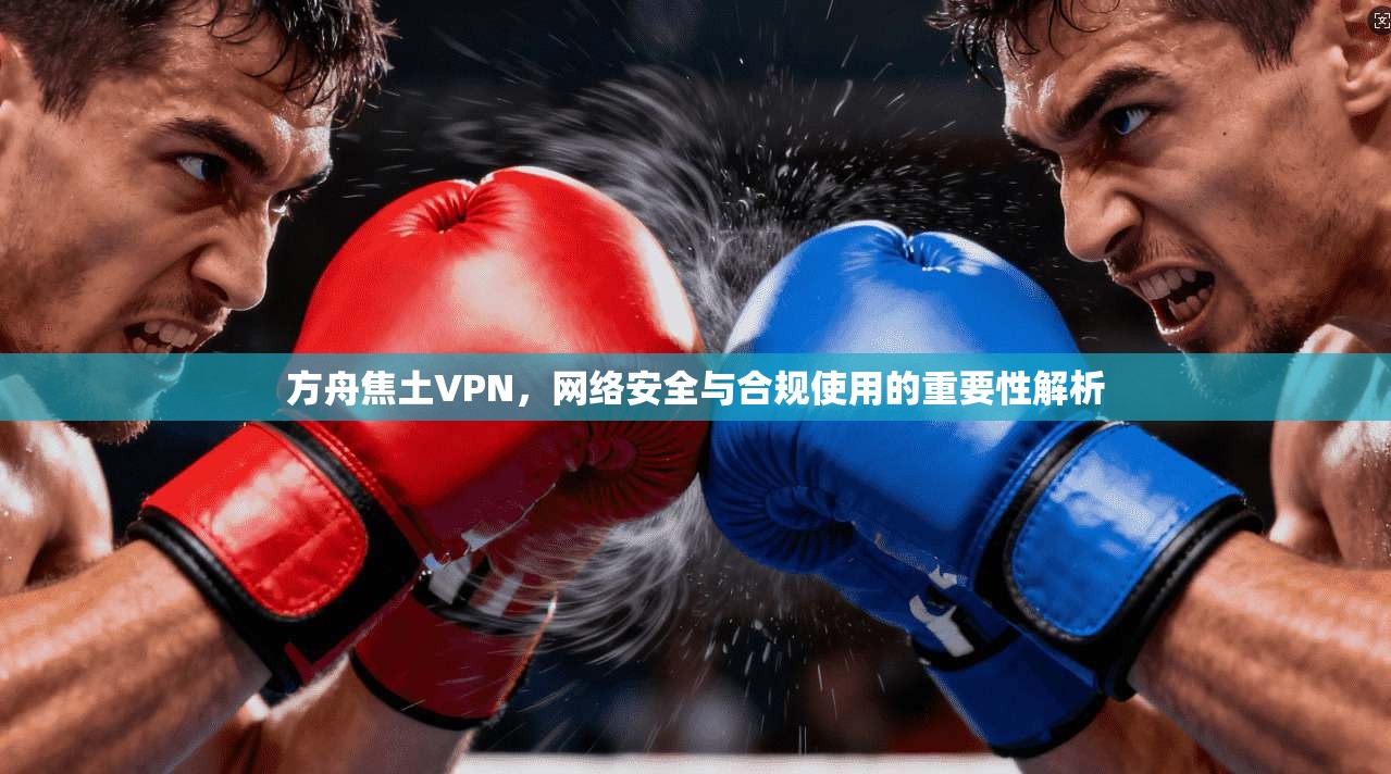 方舟焦土VPN，网络安全与合规使用的重要性解析