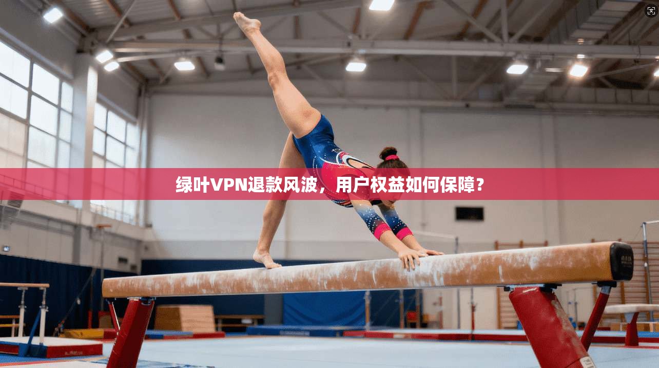 绿叶VPN退款风波，用户权益如何保障？