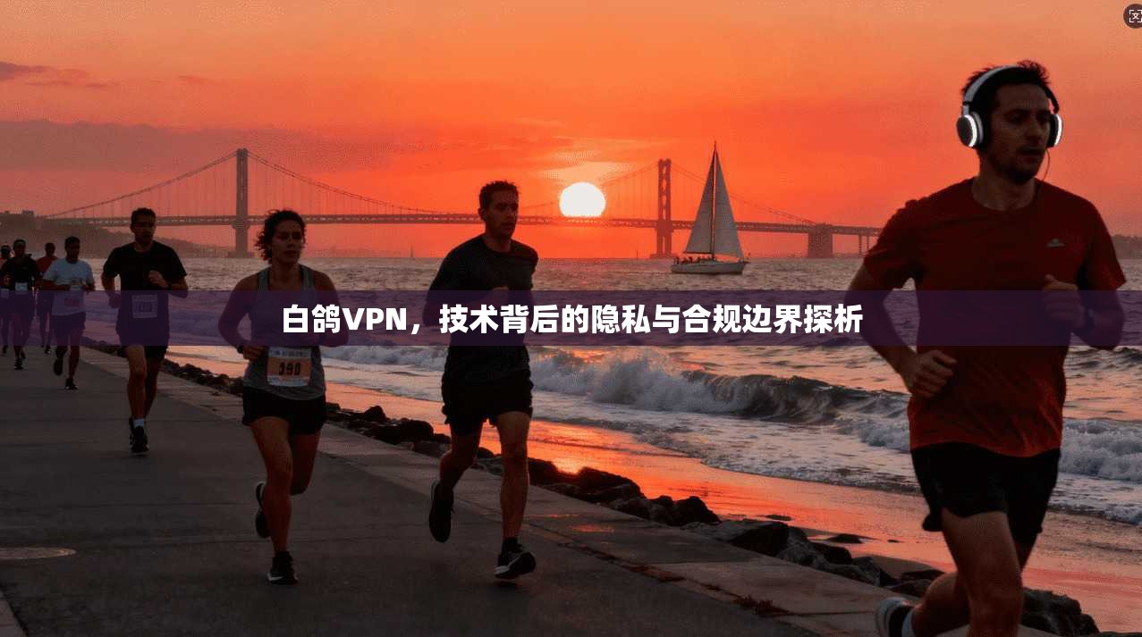 白鸽VPN,技术背后的隐私与合规边界探析 白鸽VPN,技术背后的隐私与合规边界探析