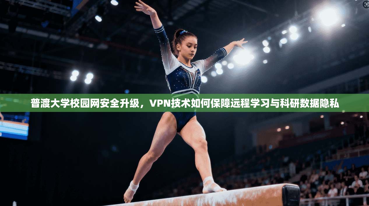 普渡大学校园网安全升级，VPN技术如何保障远程学习与科研数据隐私