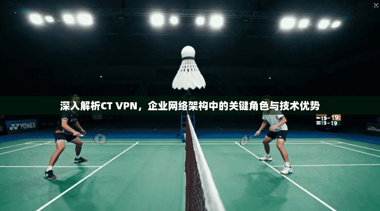 深入解析CT VPN,企业网络架构中的关键角色与技术优势 深入解析CT VPN,企业网络架构中的关键角色与技术优势