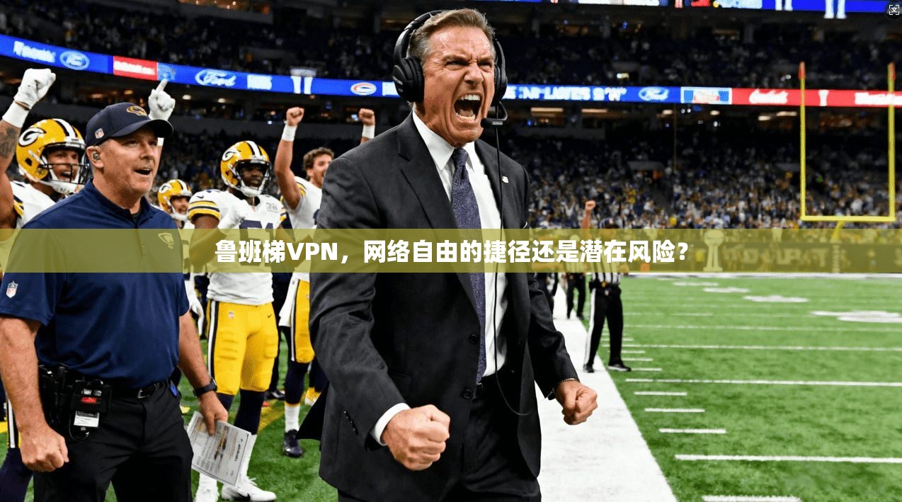 鲁班梯VPN，网络自由的捷径还是潜在风险？