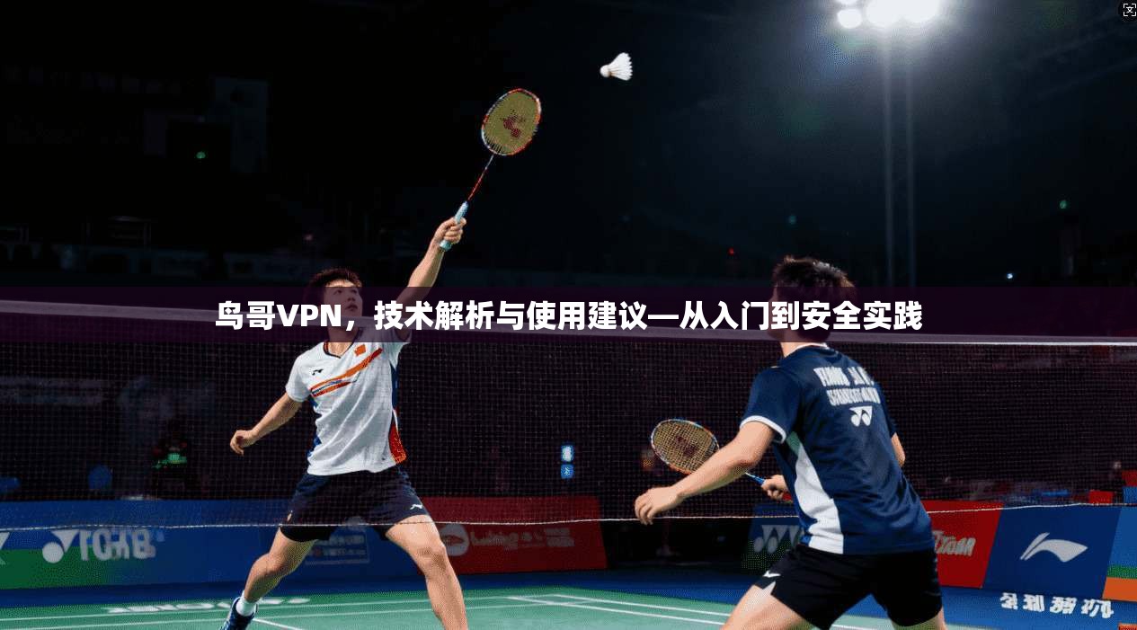 鸟哥VPN，技术解析与使用建议—从入门到安全实践