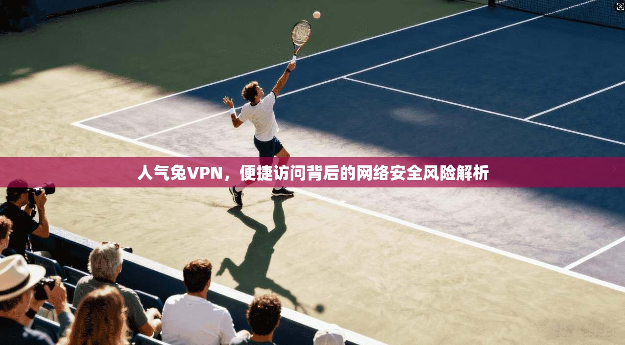 人气兔VPN，便捷访问背后的网络安全风险解析