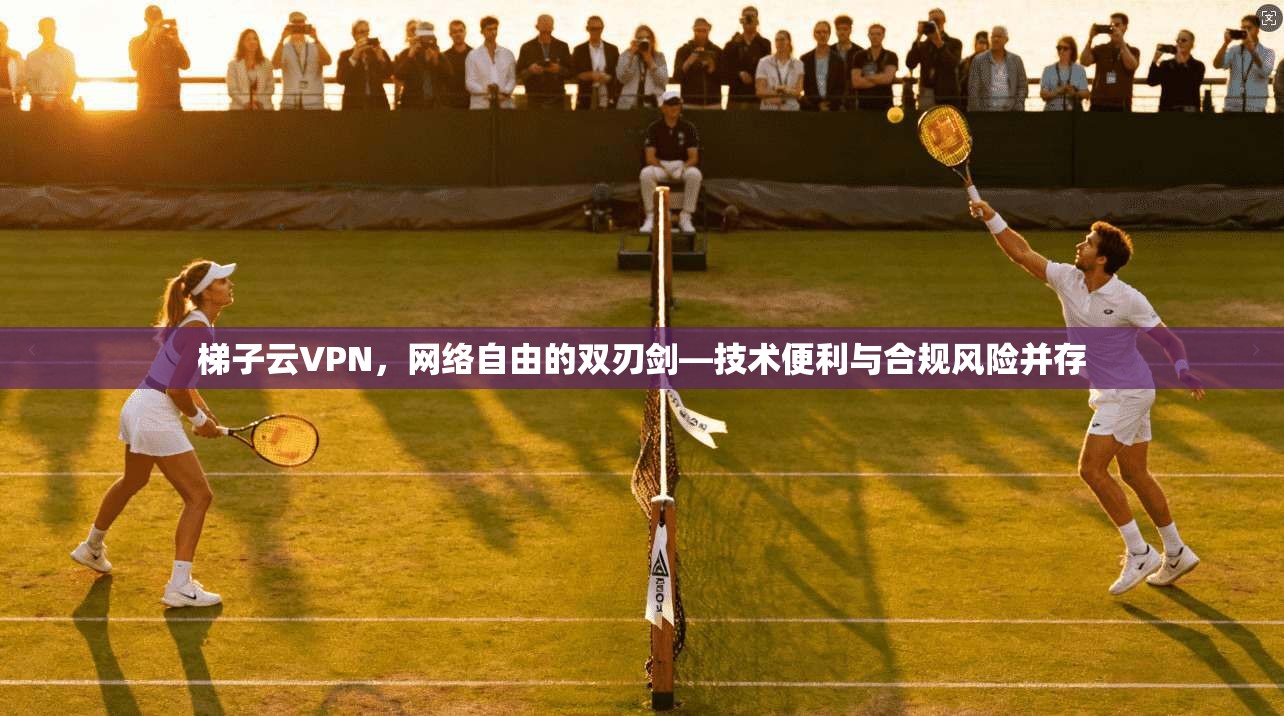 梯子云VPN，网络自由的双刃剑—技术便利与合规风险并存