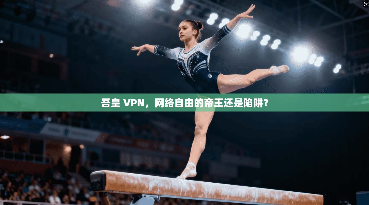 吾皇 VPN，网络自由的帝王还是陷阱？