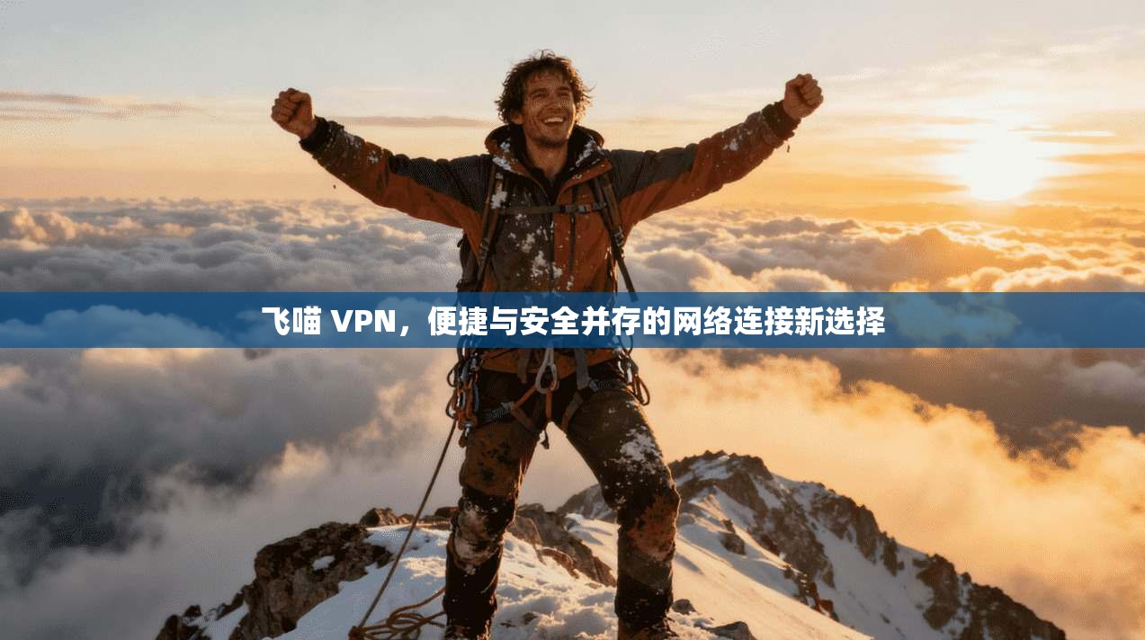 飞喵 VPN，便捷与安全并存的网络连接新选择