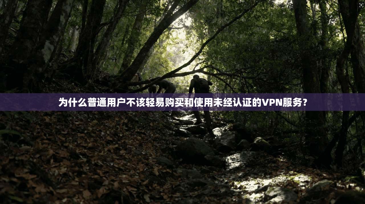 为什么普通用户不该轻易购买和使用未经认证的VPN服务? 为什么普通用户不该轻易购买和使用未经认证的VPN服务?