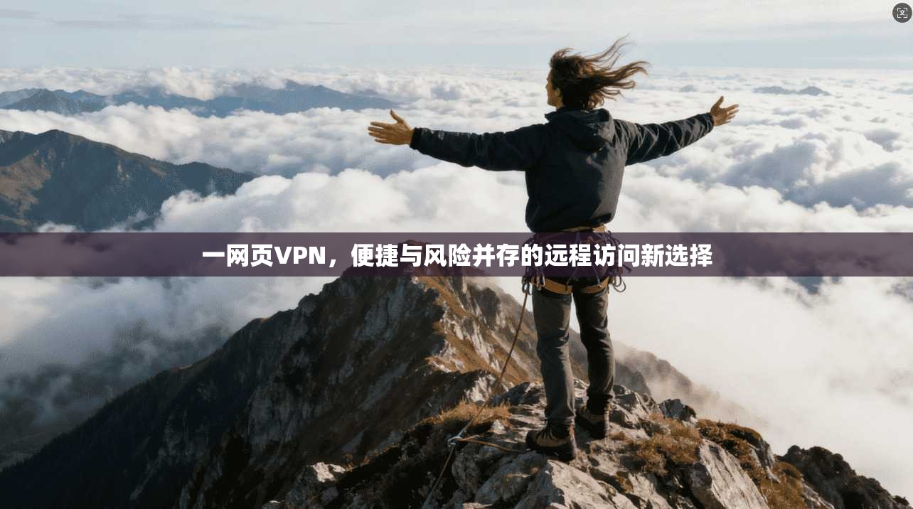 一网页VPN，便捷与风险并存的远程访问新选择