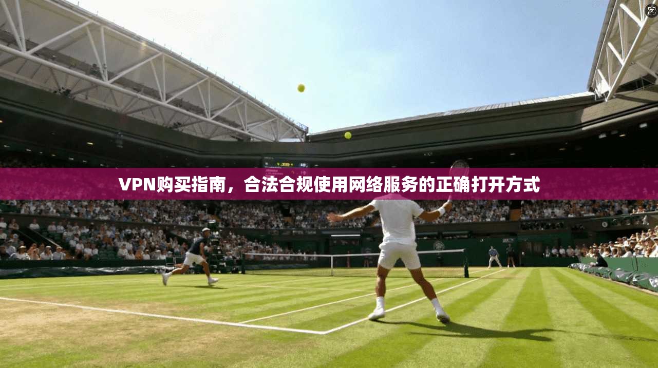 VPN购买指南，合法合规使用网络服务的正确打开方式