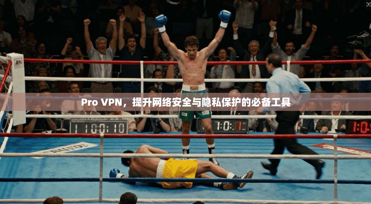 Pro VPN，提升网络安全与隐私保护的必备工具