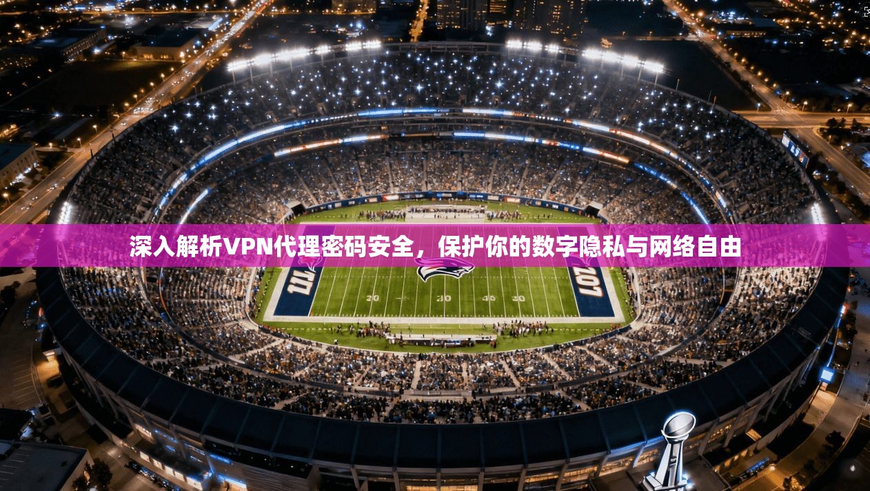深入解析VPN代理密码安全，保护你的数字隐私与网络自由