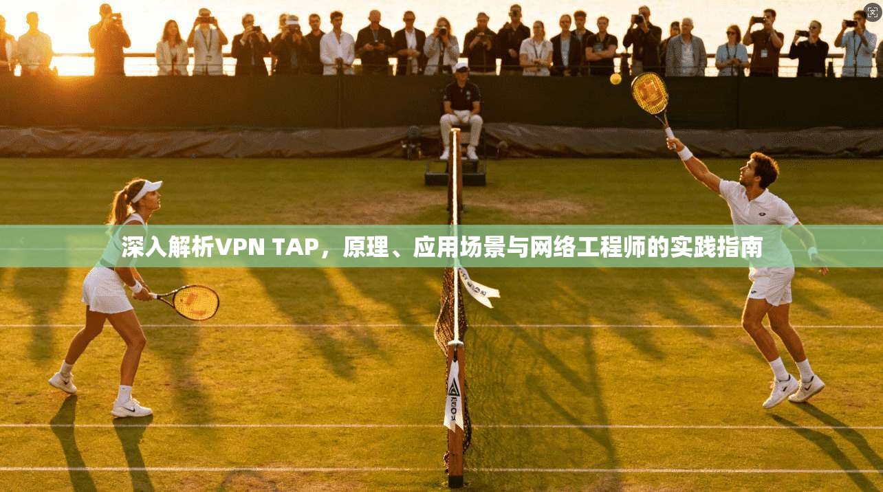 深入解析VPN TAP，原理、应用场景与网络工程师的实践指南