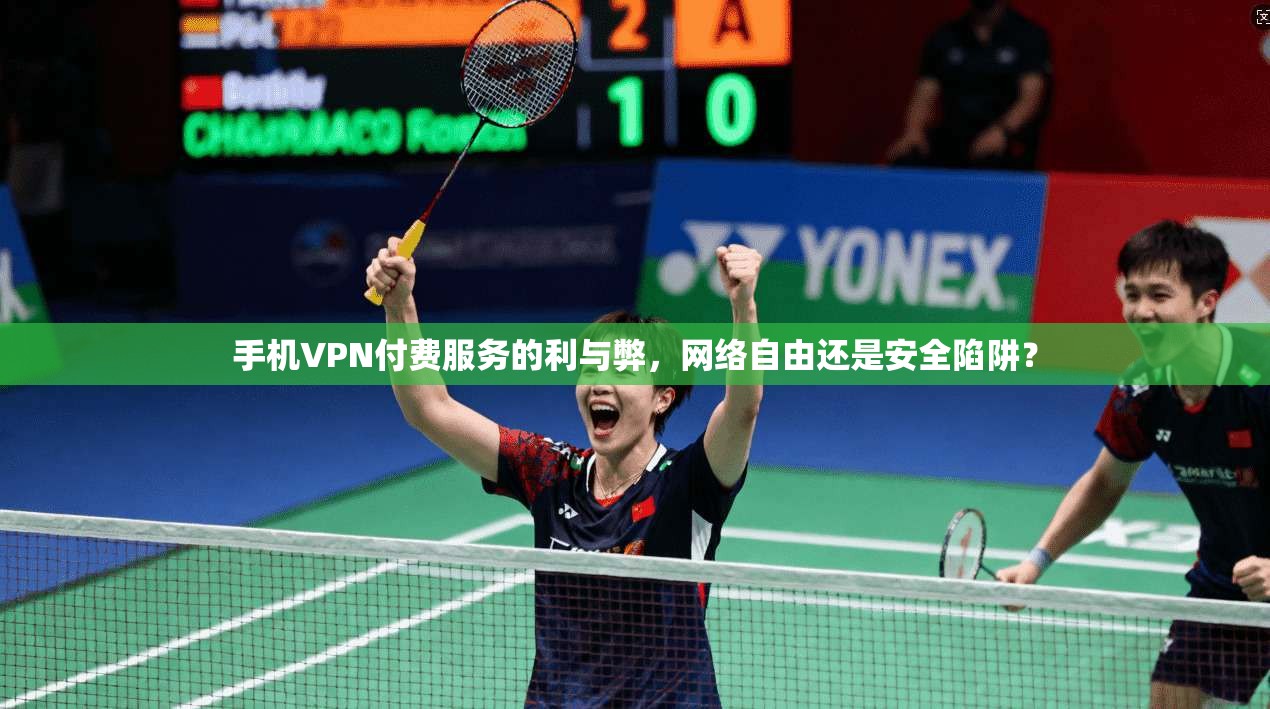 手机VPN付费服务的利与弊，网络自由还是安全陷阱？