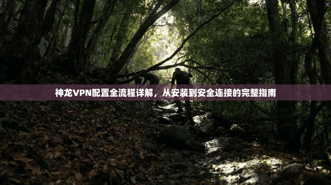 神龙VPN配置全流程详解，从安装到安全连接的完整指南