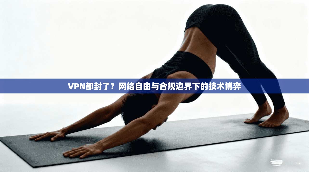 VPN都封了？网络自由与合规边界下的技术博弈
