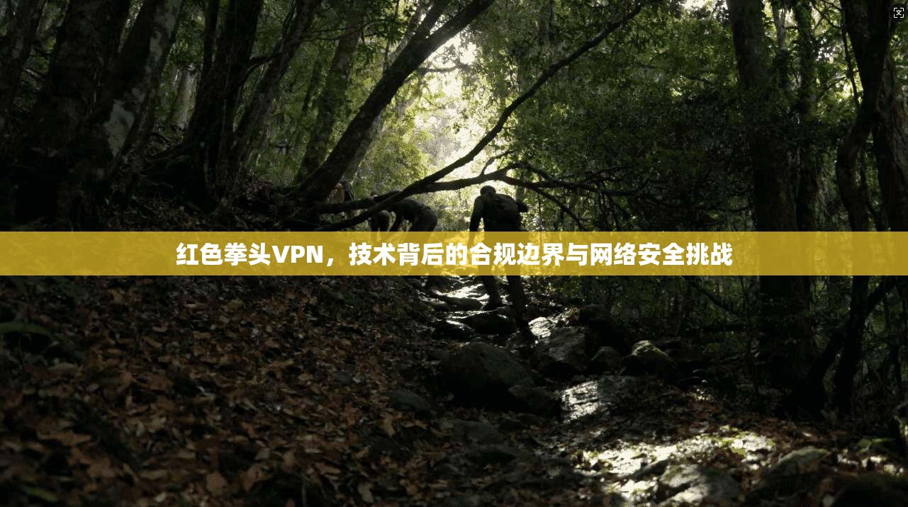 红色拳头VPN，技术背后的合规边界与网络安全挑战