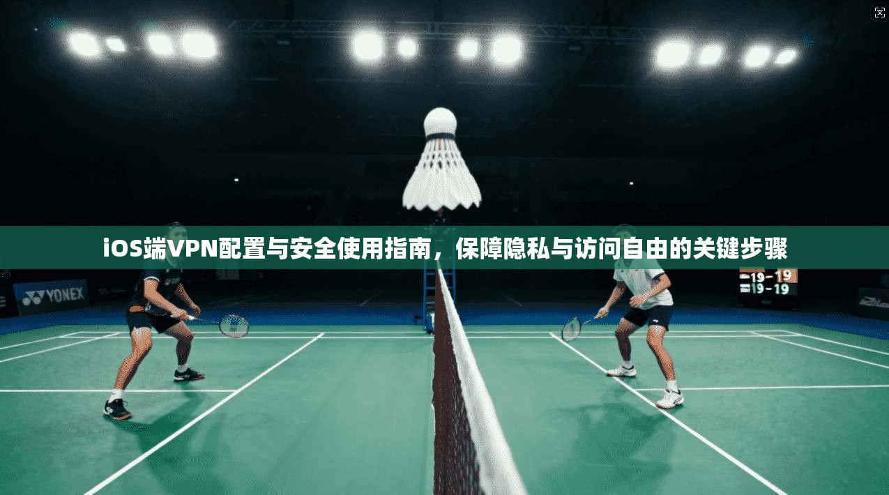 iOS端VPN配置与安全使用指南，保障隐私与访问自由的关键步骤