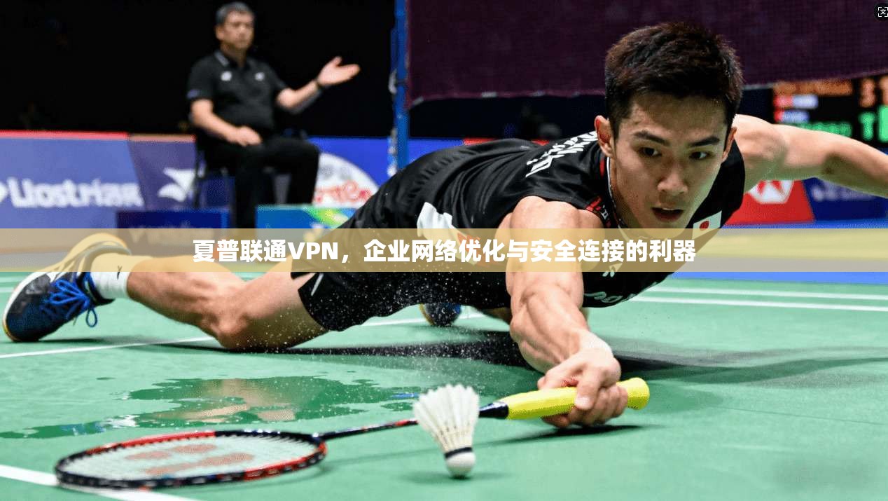 夏普联通VPN，企业网络优化与安全连接的利器