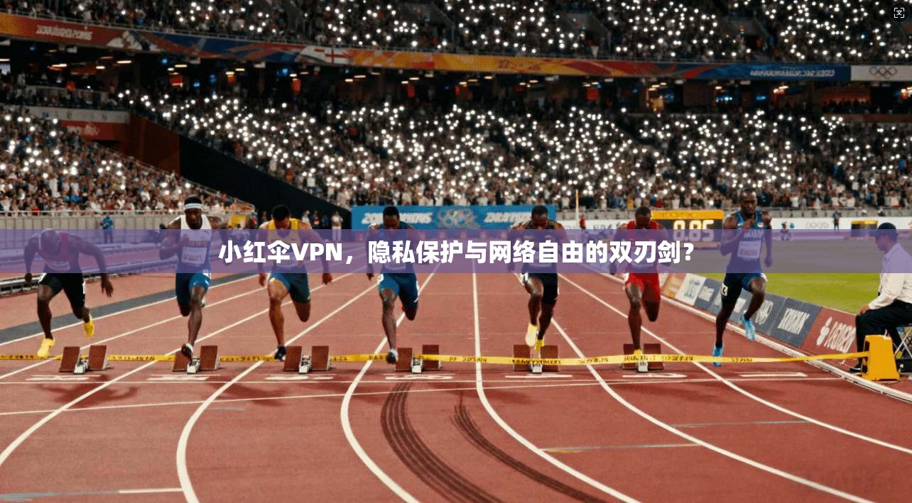小红伞VPN，隐私保护与网络自由的双刃剑？