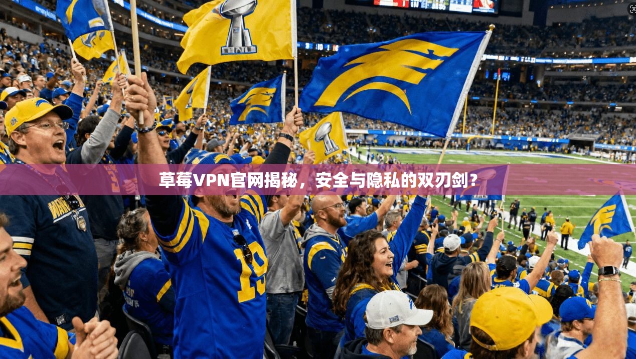 草莓VPN官网揭秘，安全与隐私的双刃剑？