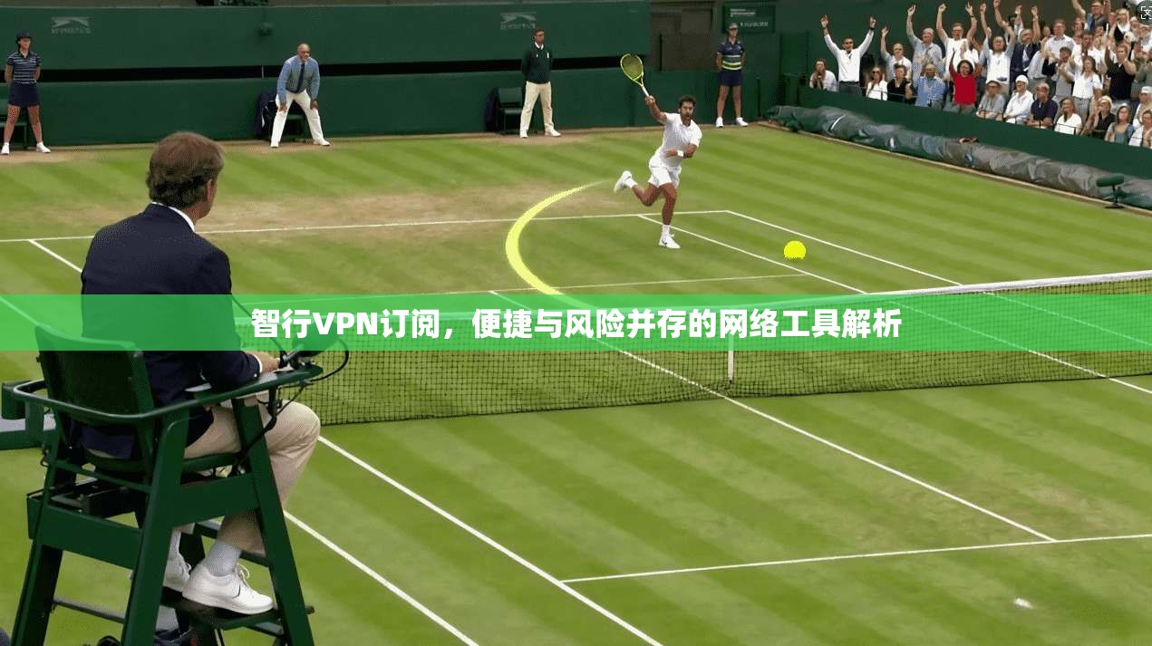 智行VPN订阅，便捷与风险并存的网络工具解析