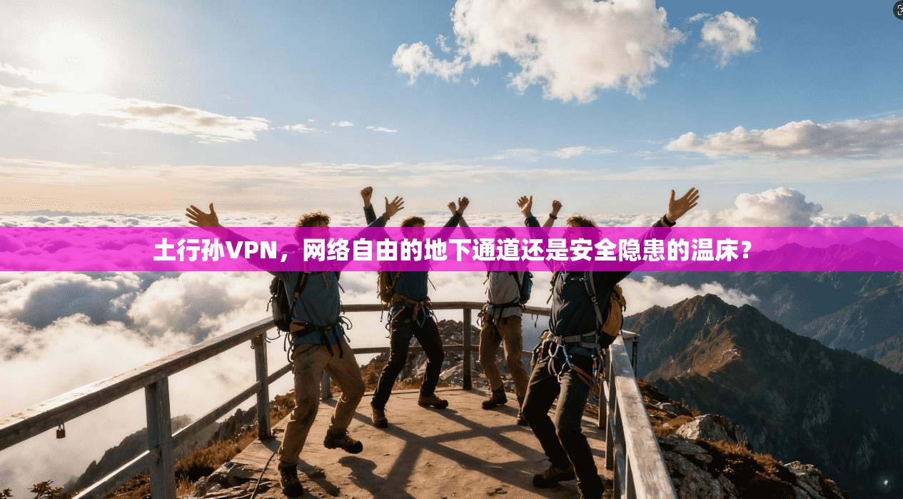 土行孙VPN，网络自由的地下通道还是安全隐患的温床？