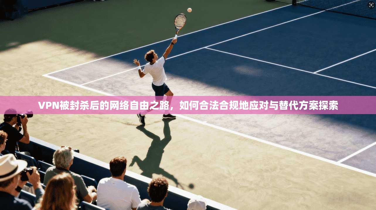 VPN被封杀后的网络自由之路，如何合法合规地应对与替代方案探索