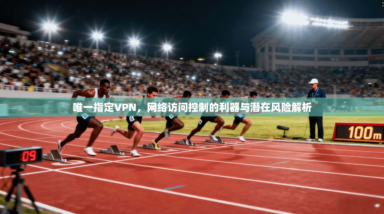 唯一指定VPN，网络访问控制的利器与潜在风险解析