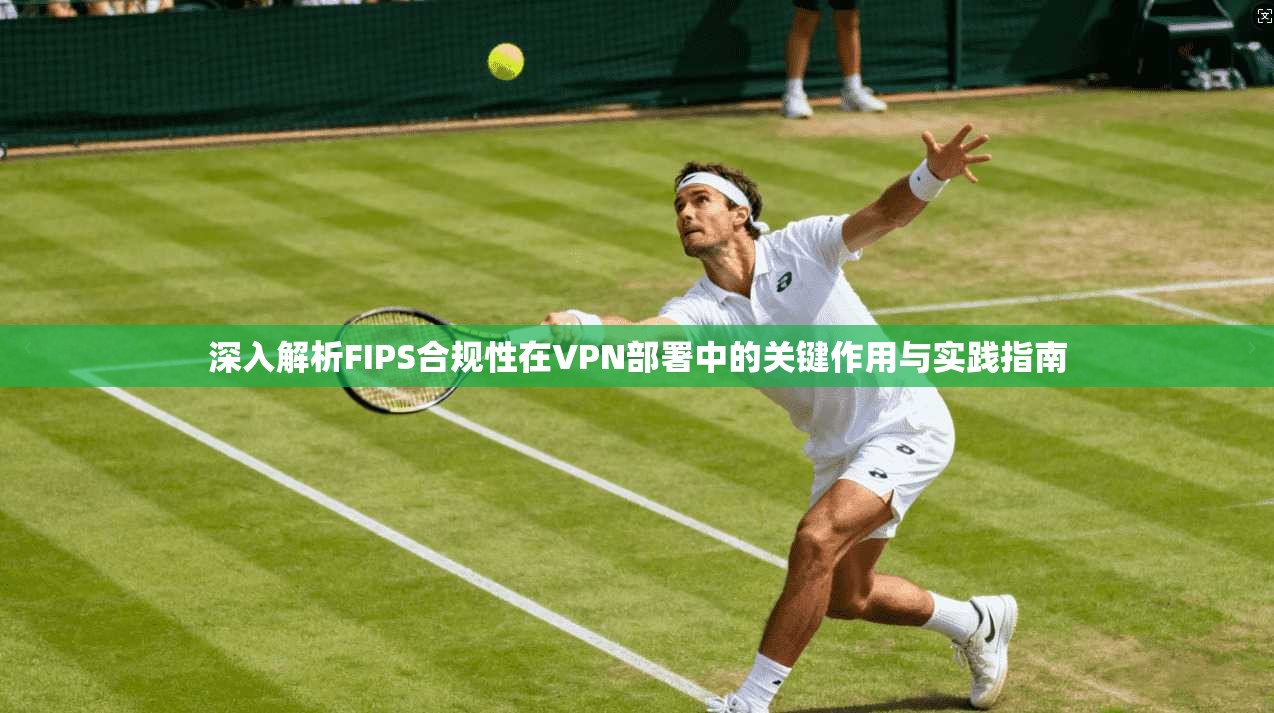深入解析FIPS合规性在VPN部署中的关键作用与实践指南