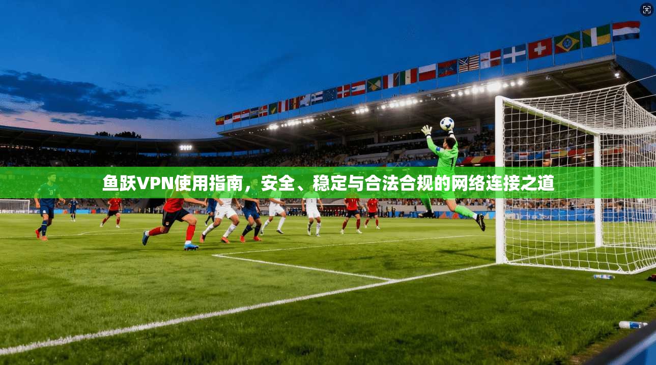 鱼跃VPN使用指南，安全、稳定与合法合规的网络连接之道