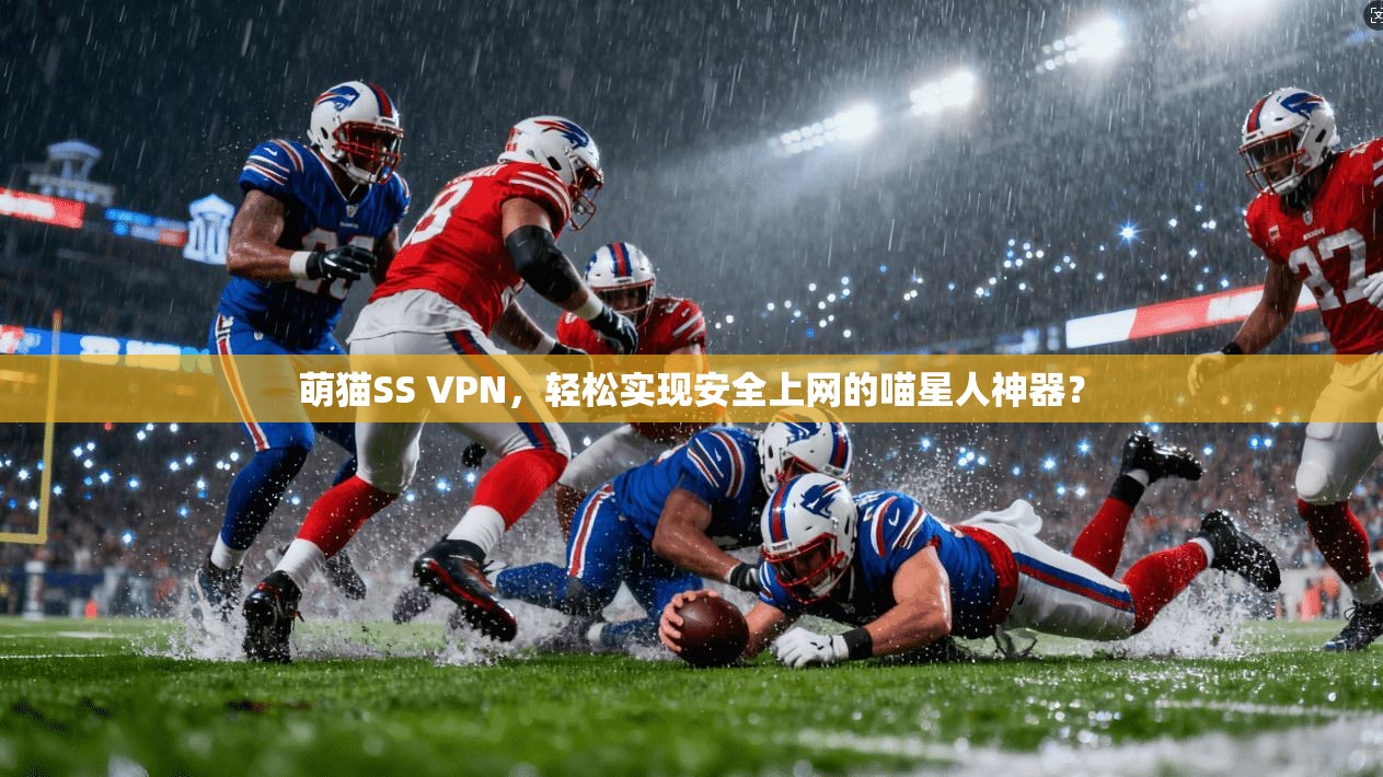 萌猫SS VPN，轻松实现安全上网的喵星人神器？