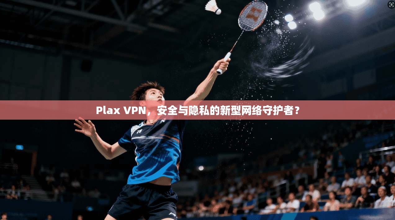 Plax VPN，安全与隐私的新型网络守护者？