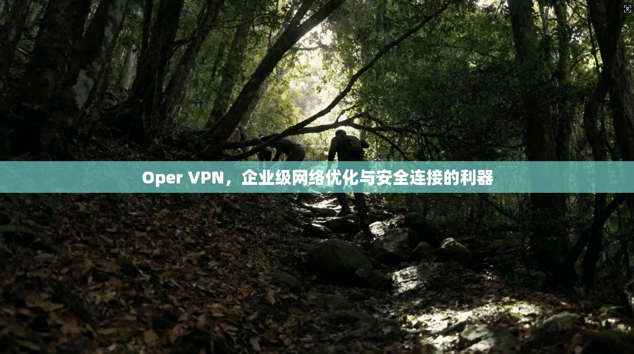 Oper VPN，企业级网络优化与安全连接的利器