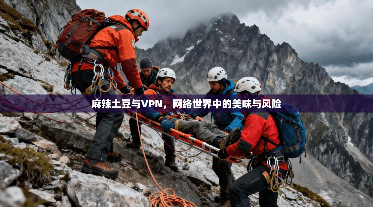 麻辣土豆与VPN，网络世界中的美味与风险