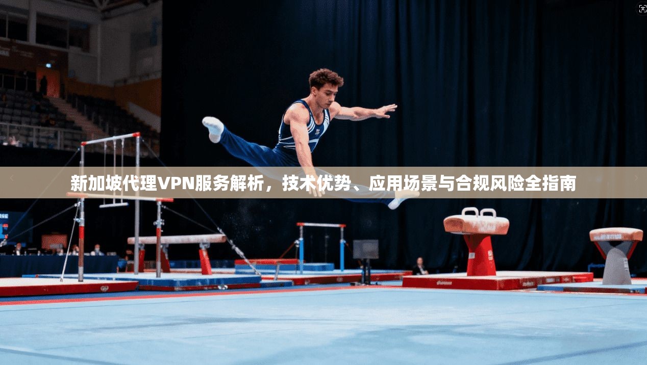 新加坡代理VPN服务解析，技术优势、应用场景与合规风险全指南