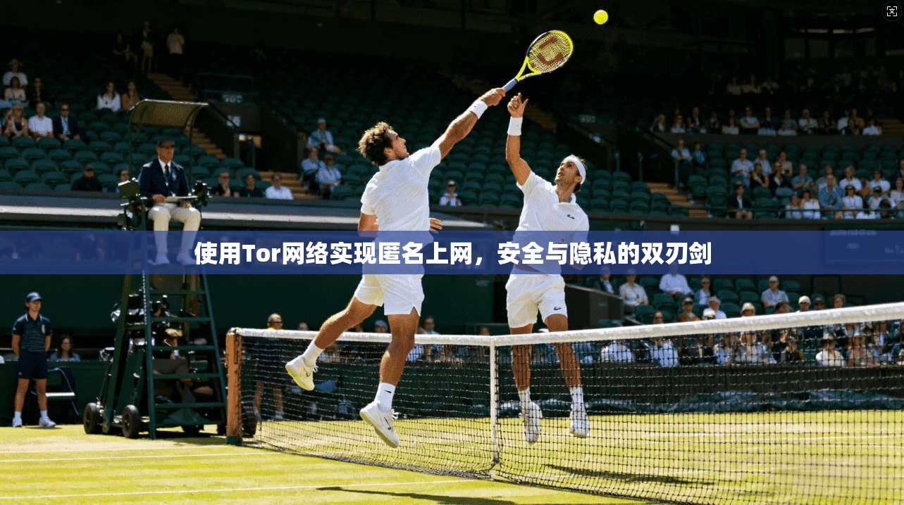 使用Tor网络实现匿名上网，安全与隐私的双刃剑