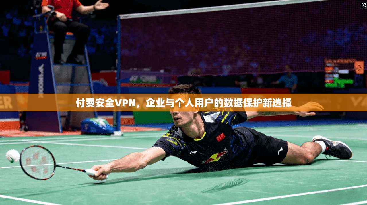 付费安全VPN，企业与个人用户的数据保护新选择