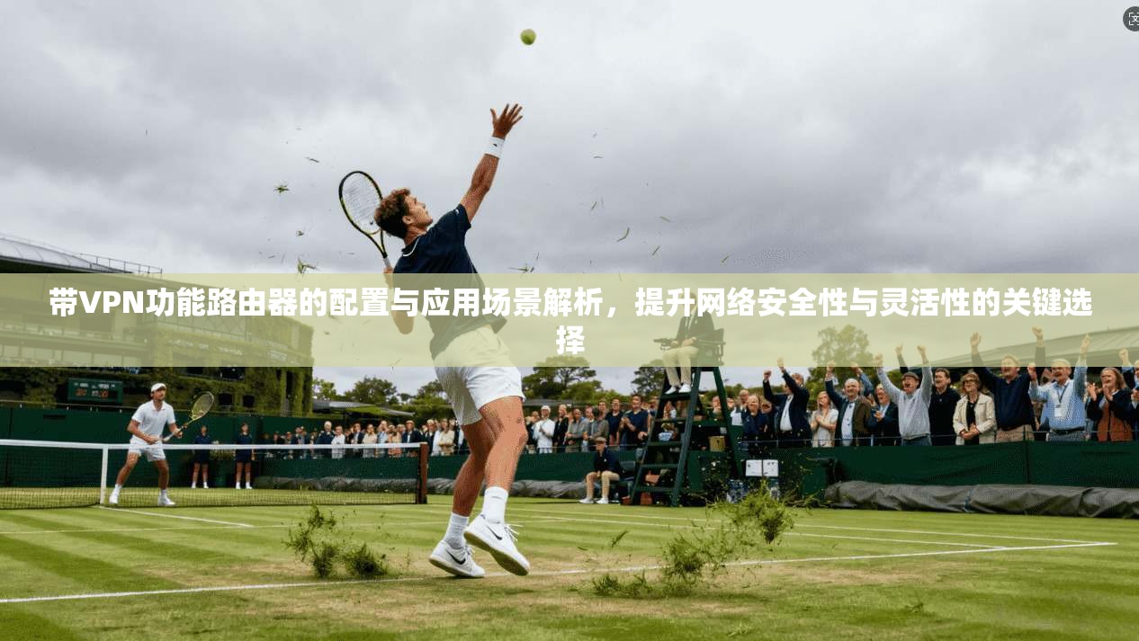 带VPN功能路由器的配置与应用场景解析，提升网络安全性与灵活性的关键选择