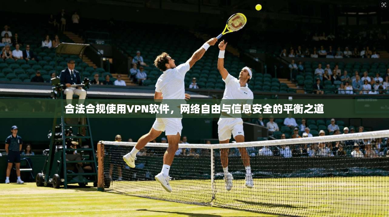合法合规使用VPN软件，网络自由与信息安全的平衡之道