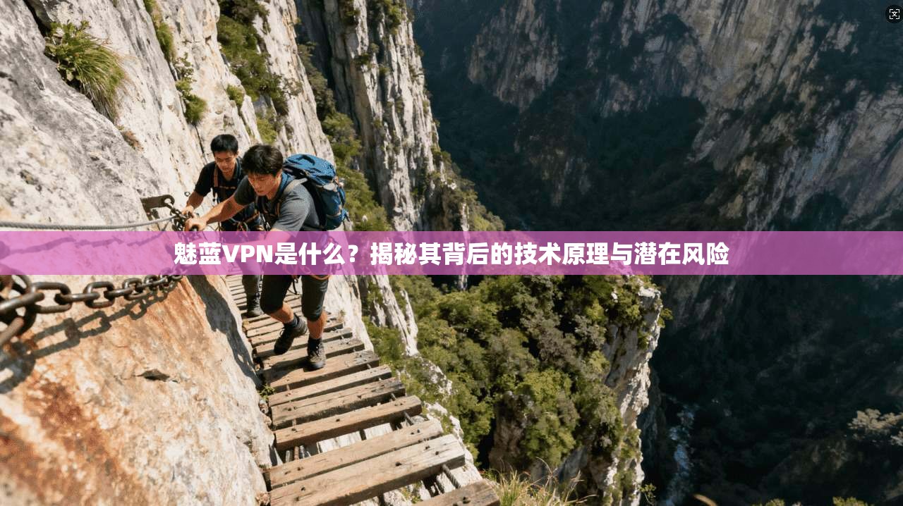 魅蓝VPN是什么？揭秘其背后的技术原理与潜在风险