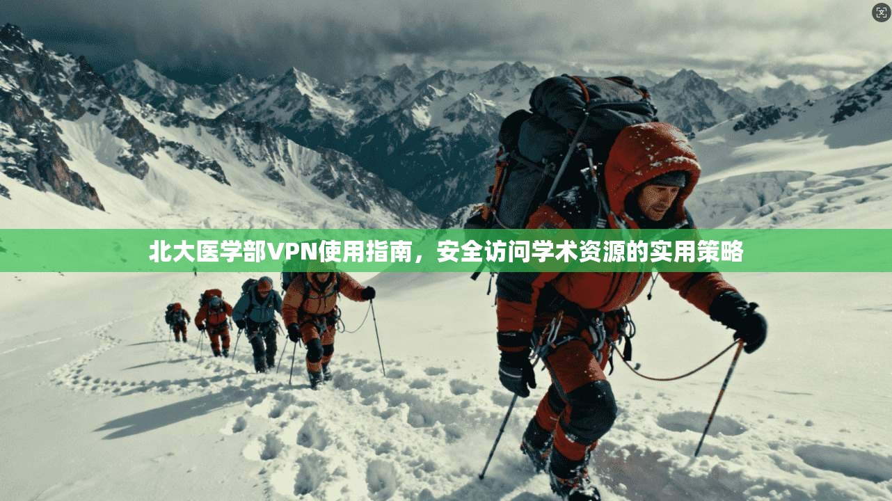 北大医学部VPN使用指南，安全访问学术资源的实用策略