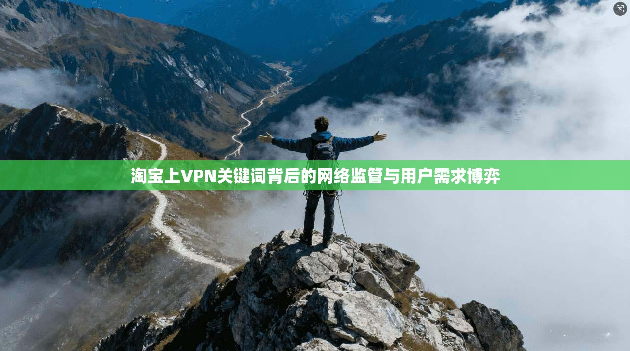 淘宝上VPN关键词背后的网络监管与用户需求博弈
