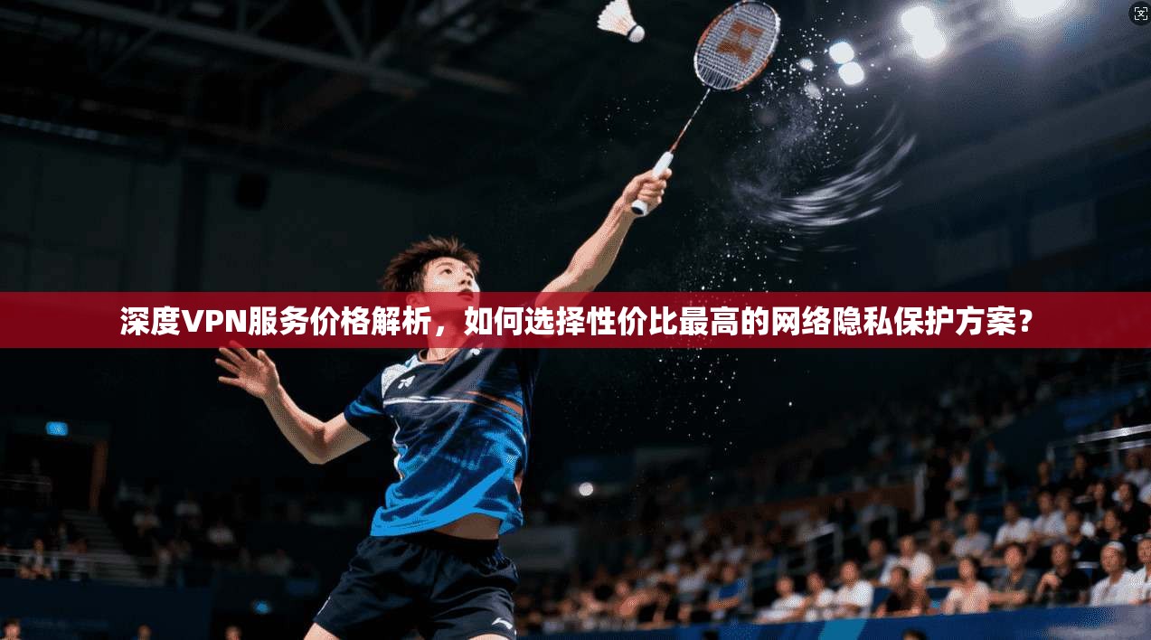 深度VPN服务价格解析，如何选择性价比最高的网络隐私保护方案？