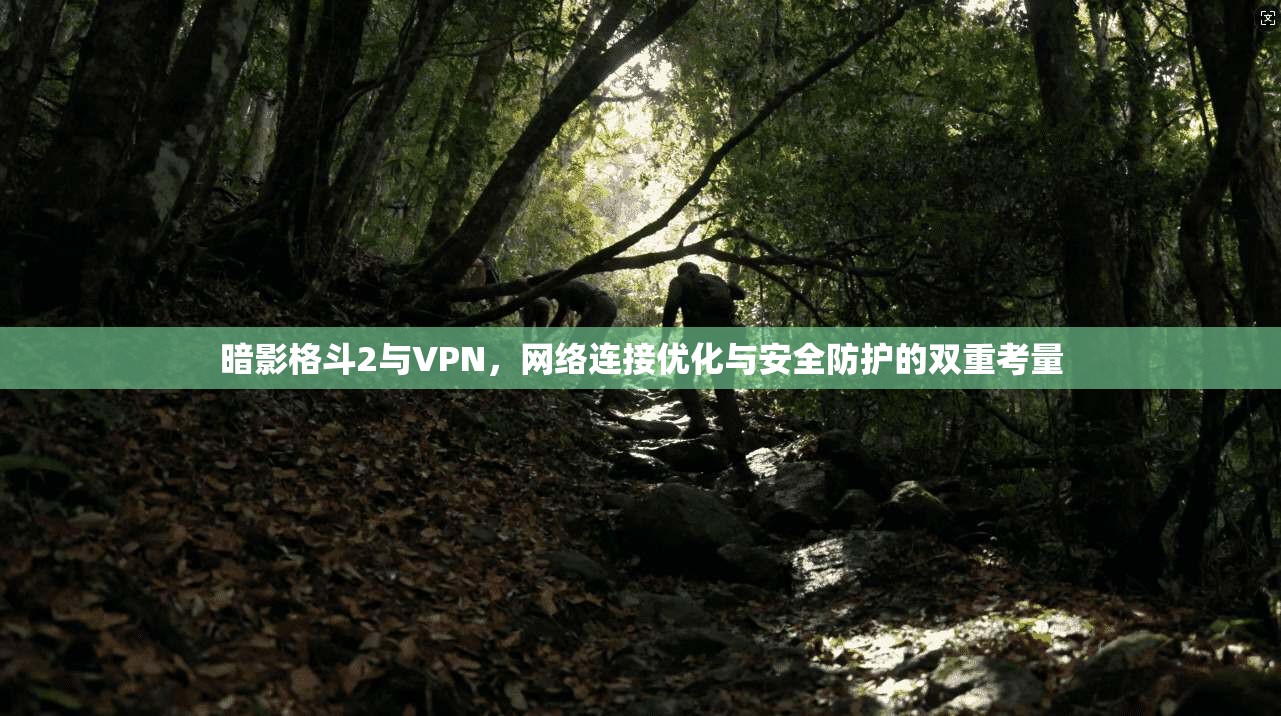 暗影格斗2与VPN,网络连接优化与安全防护的双重考量 暗影格斗2与VPN,网络连接优化与安全防护的双重考量